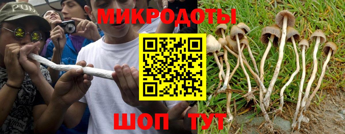 Галлюциногенные грибы мухоморы Рязань