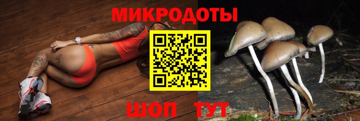 Псилоцибиновые грибы Psilocybe  Вход с VPN  Рязань 
