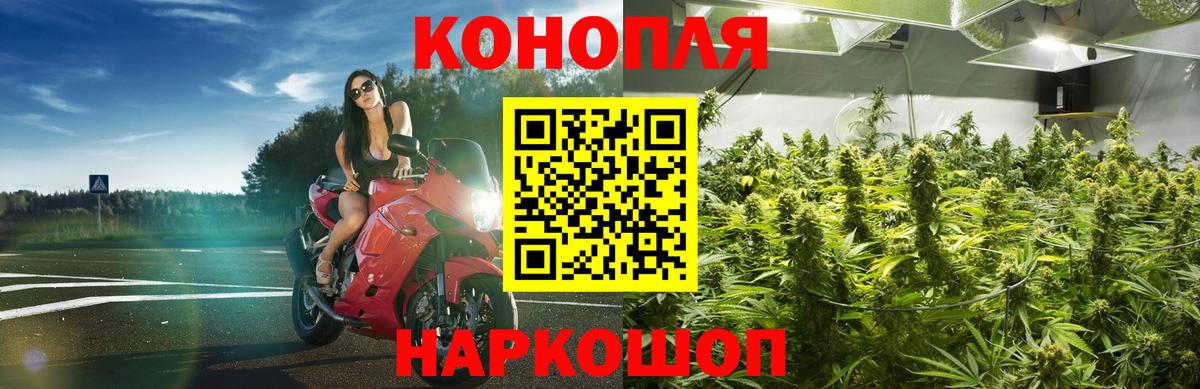 Каннабис план Рязань